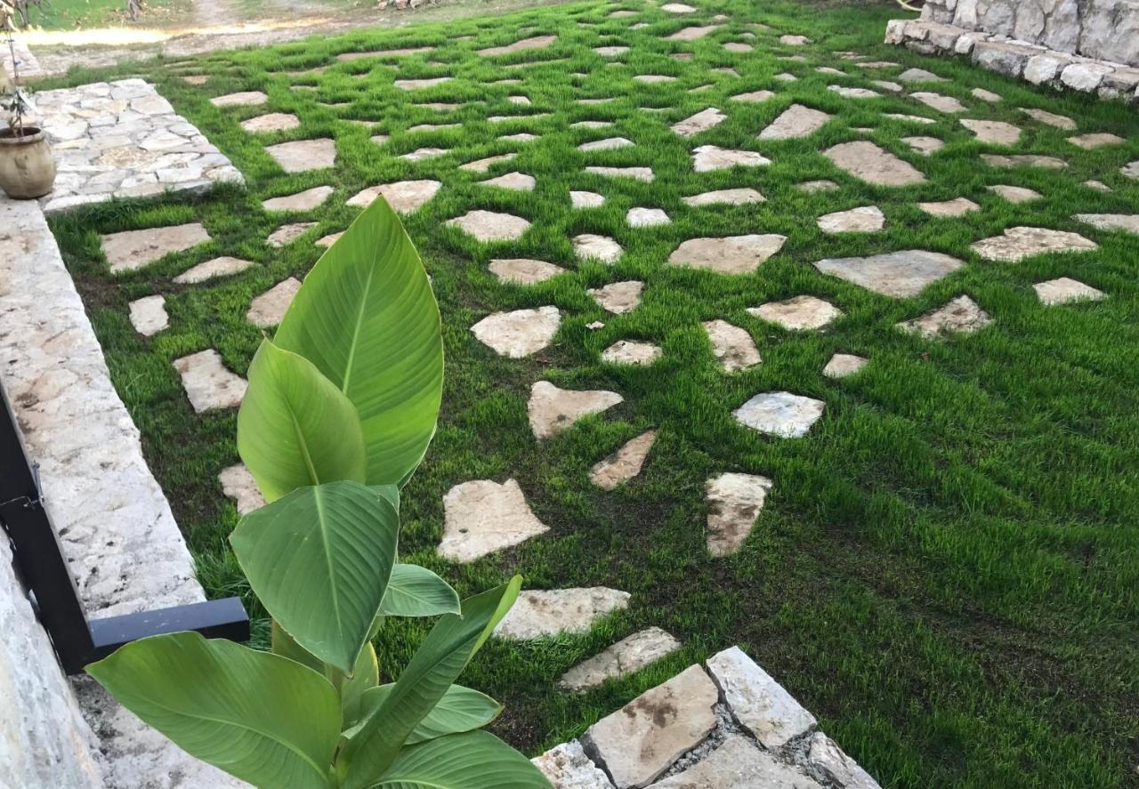 Green Silence - Iva Danilovgrad Exterior photo